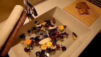Residence Ilario Suite Hotel リッチョーネ
